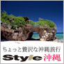��������ґ�ȍ������s�@style�i�X�^�C���j