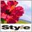 ちょっと贅沢な国内旅行　style（スタイル）